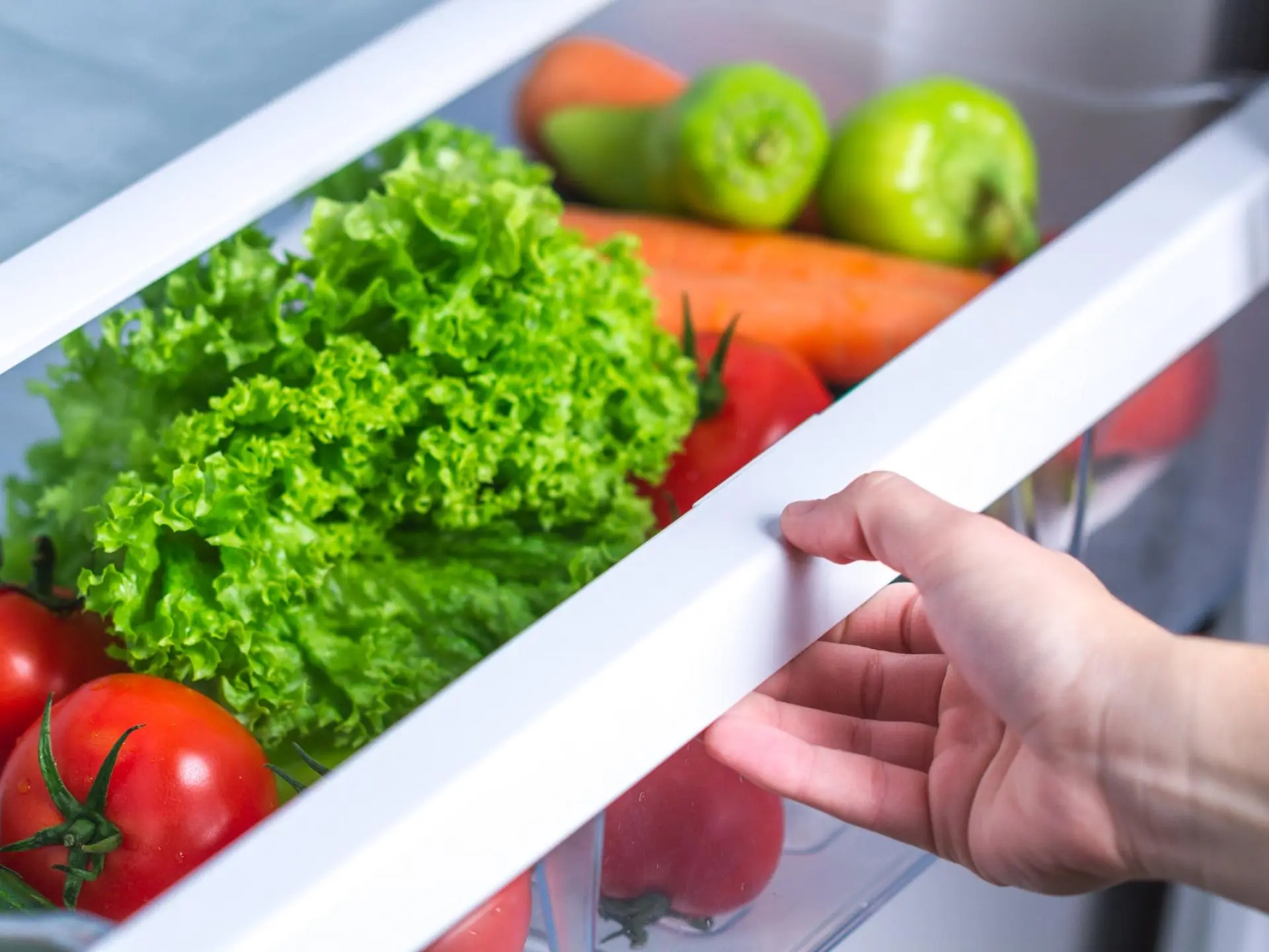 Zutaten auf einem Foto